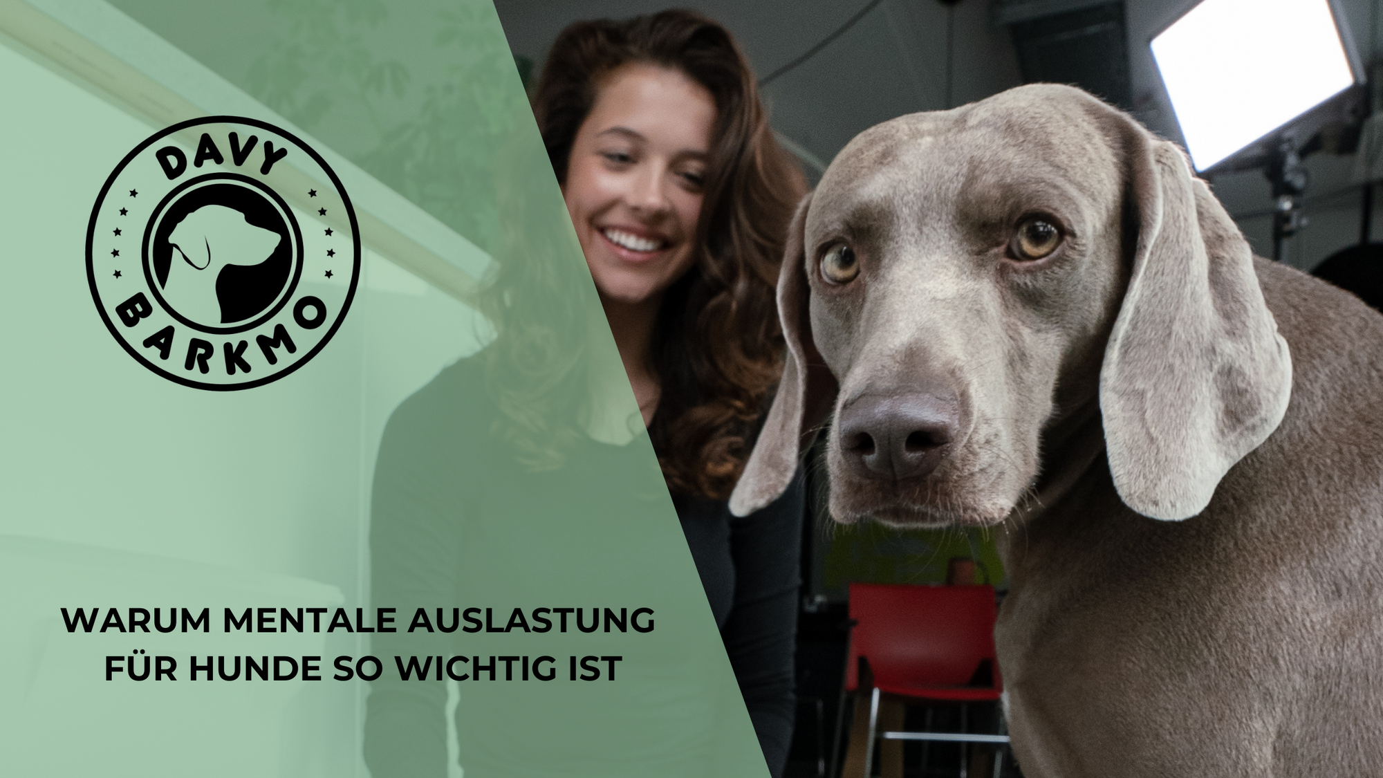 Hund mental auslasten: so gehts am einfachsten! - DavyBarkmo