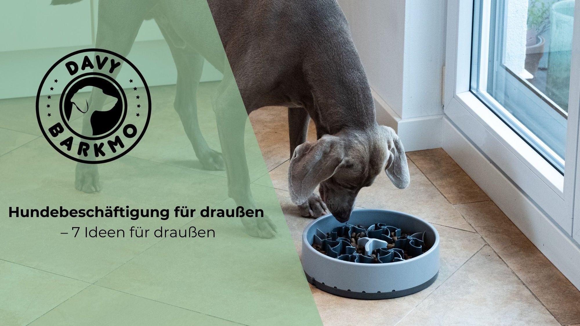 Hundebeschäftigung-für-draußen-DavyBarkmo-SoulBowl
