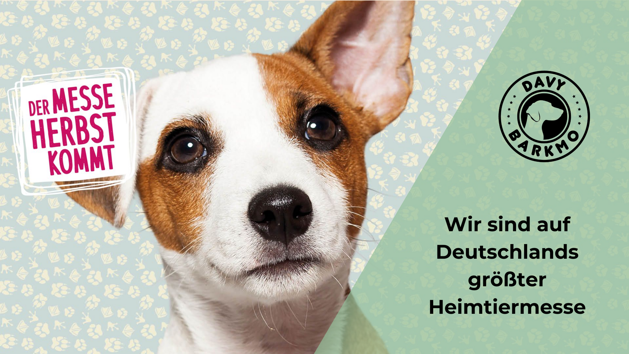 Heimtiermesse ANIMAL 2024 in Stuttgart - DavyBarkmo