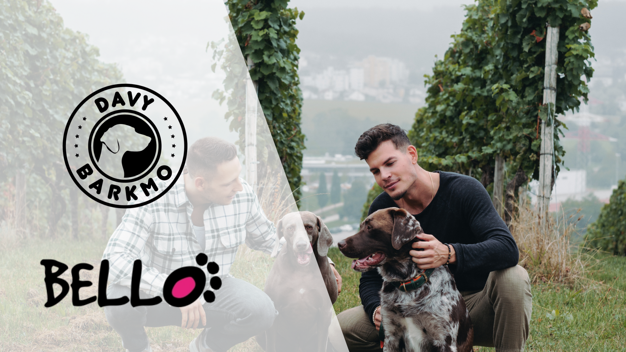 #bello24: DavyBarkmo auf der Bello Hundemesse - DavyBarkmo