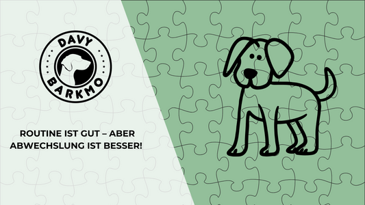 Routine ist gut – aber Abwechslung ist besser!