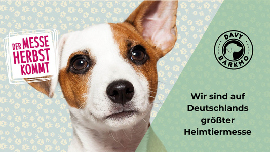 Heimtiermesse ANIMAL 2024 in Stuttgart - DavyBarkmo 