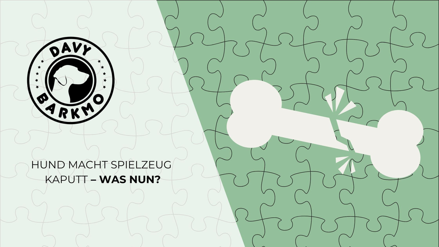Hund macht Spielzeug kaputt – was nun?