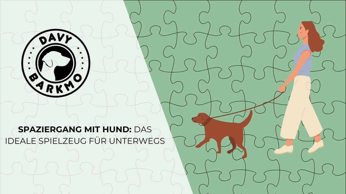 Spaziergang mit Hund: Das ideale Spielzeug für unterwegs